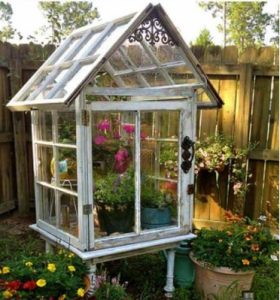 diy-greenhouse