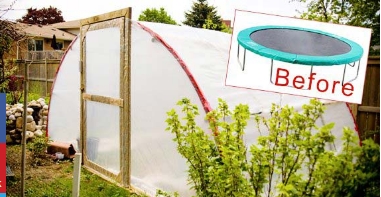 trampoline-greenhouse