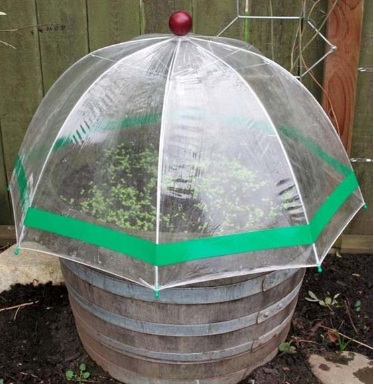 umbrella-greenhouse