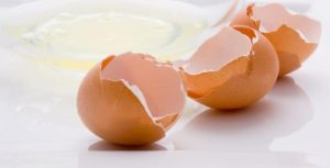λίπασμα από τσόφλια αυγών