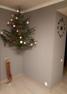 χριστουγεννιάτικο δέντρο κατοικίδια