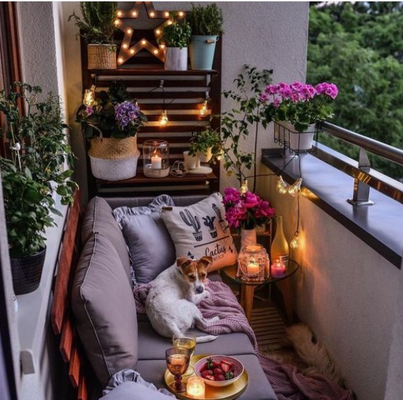πως να διακοσμήσεις το μπαλκόνι σου με φυτά και λουλούδια