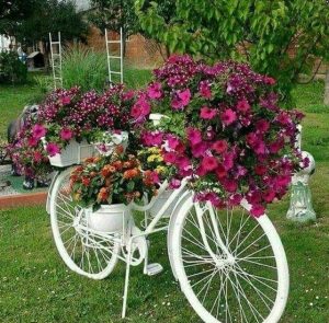 ποδήλατο λουλούδια κήπος