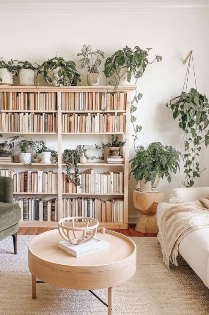 βιβλιοθήκη φυτά cozy σπίτι