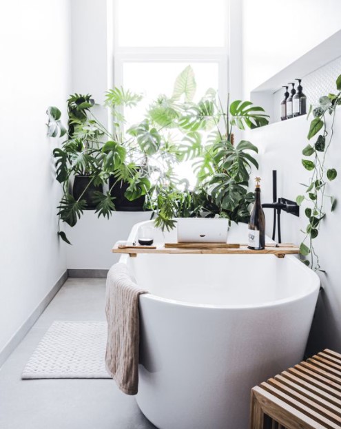 πολλά φυτά μπάνιο διακοσμήσεις φυτά