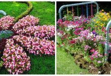 Flower beds: συνθέσεις λουλουδιών για τον κήπο