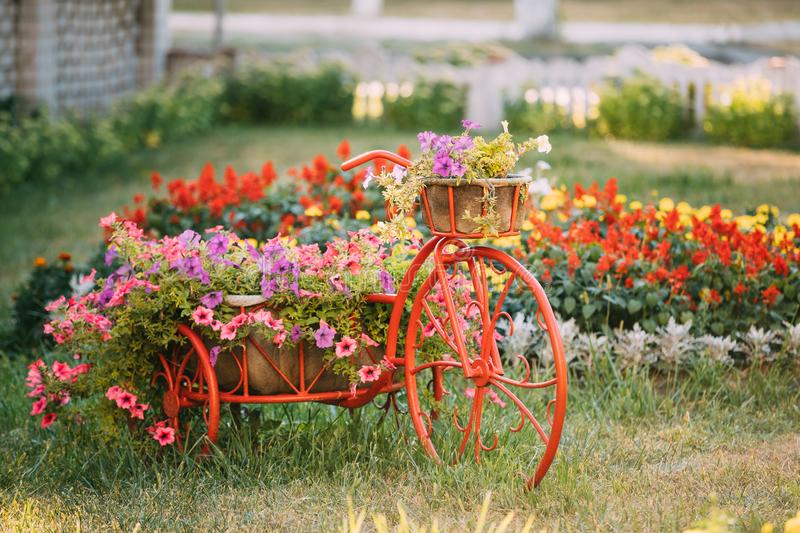 Vintage ποδήλατο με λουλούδια