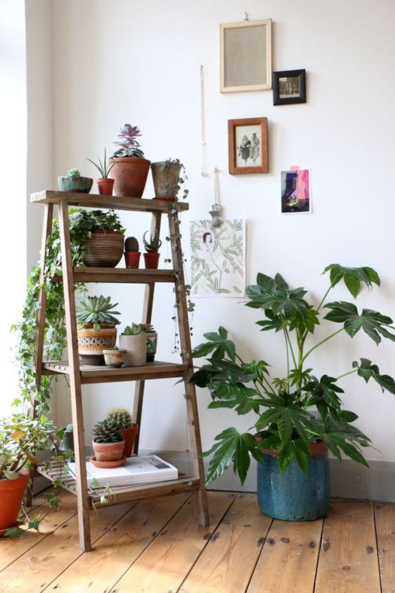 Vintage σκάλα για φυτά