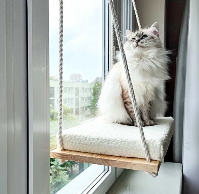 κρεβάτι γάτας στο παράθυρο