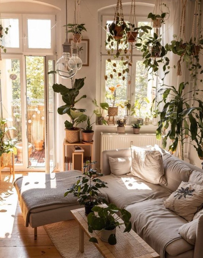 παλιό διαμέρισμα με φυτά