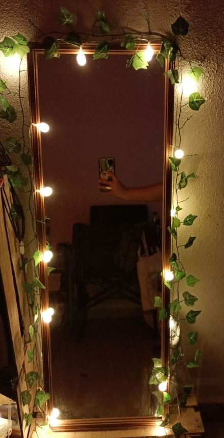 καθρέπτης με φυτά και φωτάκια