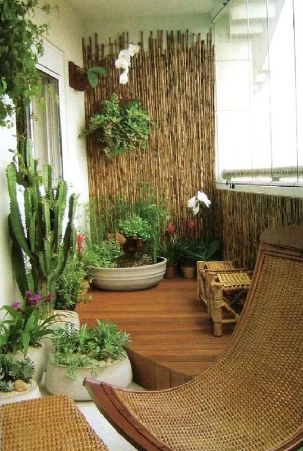 μπαλκόνι φυτά