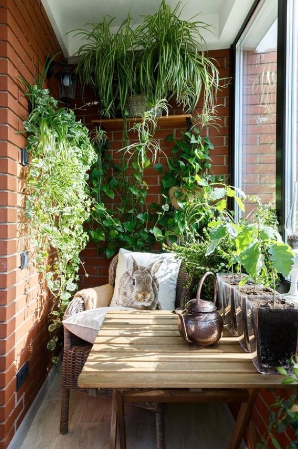 ράφι φυτά βεράντα μπαλκόνι μεγαλύτερο