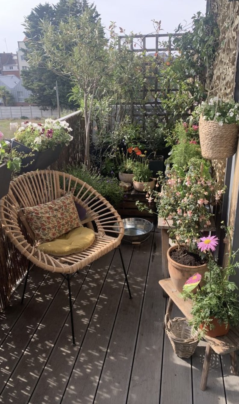 μπαλκόνι φυτά καρέκλα
