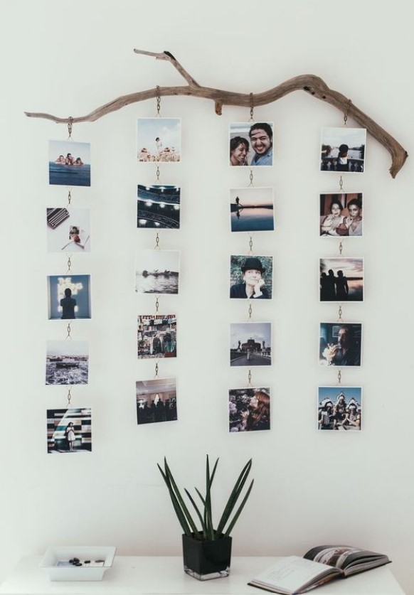 φωτογραφίες στον τοίχο κρεμασμένες σε κλαδί